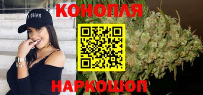 индика Новозыбков