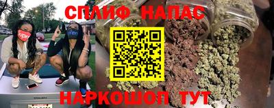 индика Новозыбков