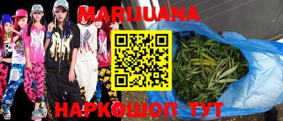 индика Новозыбков