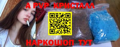 индика Новозыбков