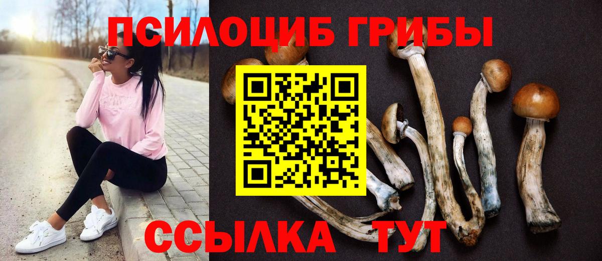 Галлюциногенные грибы ЛСД  Вход с VPN  Фролово  Псилоцибиновые грибы ЛСД 